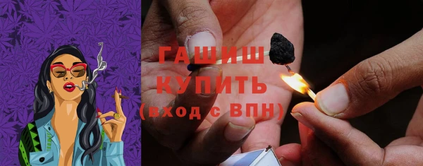 прущие грибы Михайлов