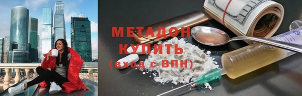 прущие грибы Михайлов