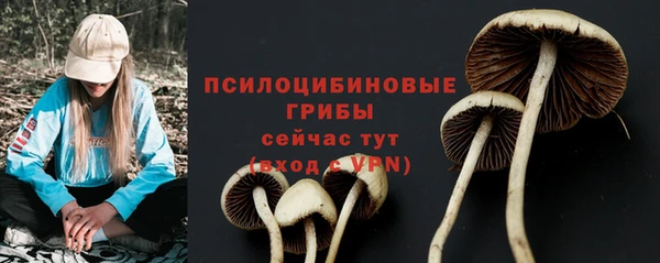 MDMA Билибино