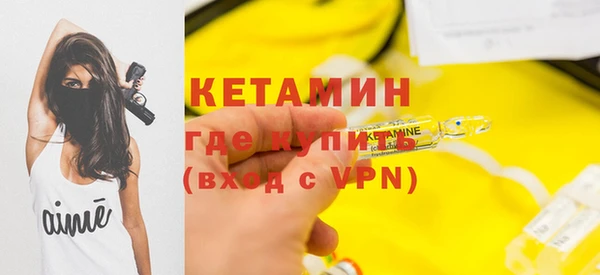 прущие грибы Михайлов