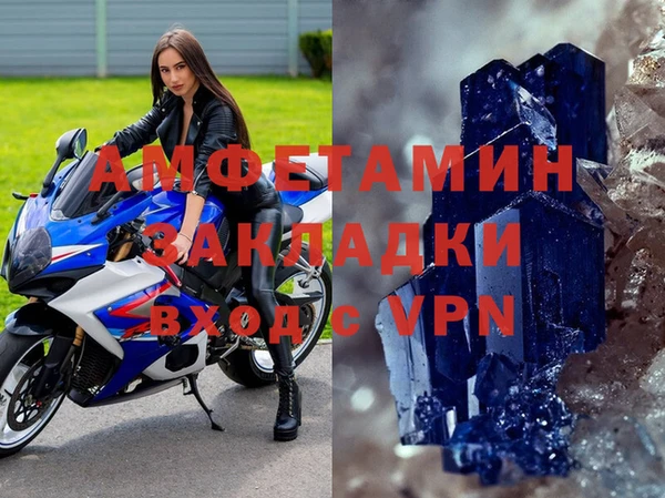 прущие грибы Михайлов