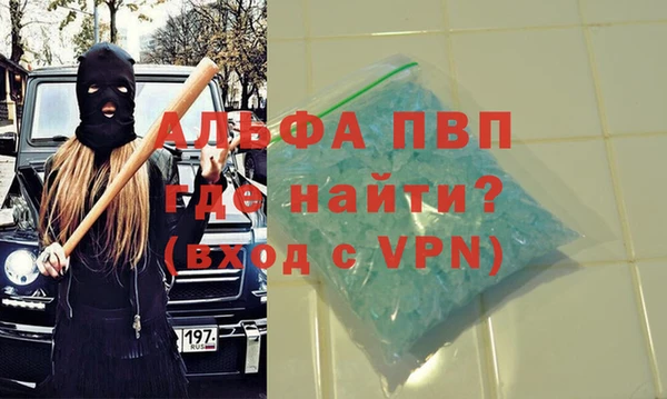 прущие грибы Михайлов