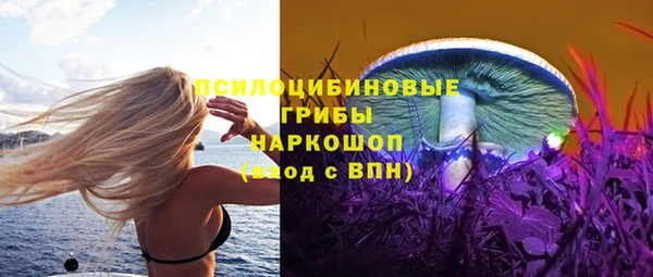 прущие грибы Михайлов