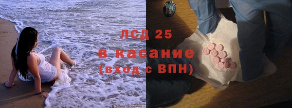 прущие грибы Михайлов