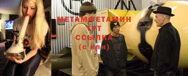 прущие грибы Михайлов