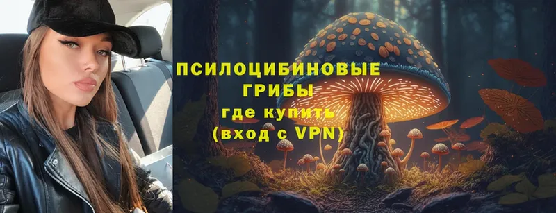 Галлюциногенные грибы Magic Shrooms  Спасск-Рязанский 