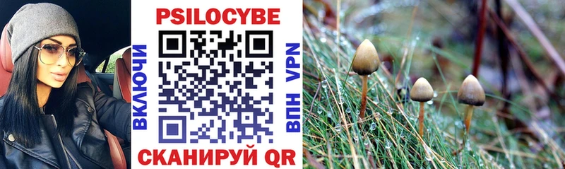 Галлюциногенные грибы Psilocybine cubensis  МЕГА онион  Спасск-Рязанский 